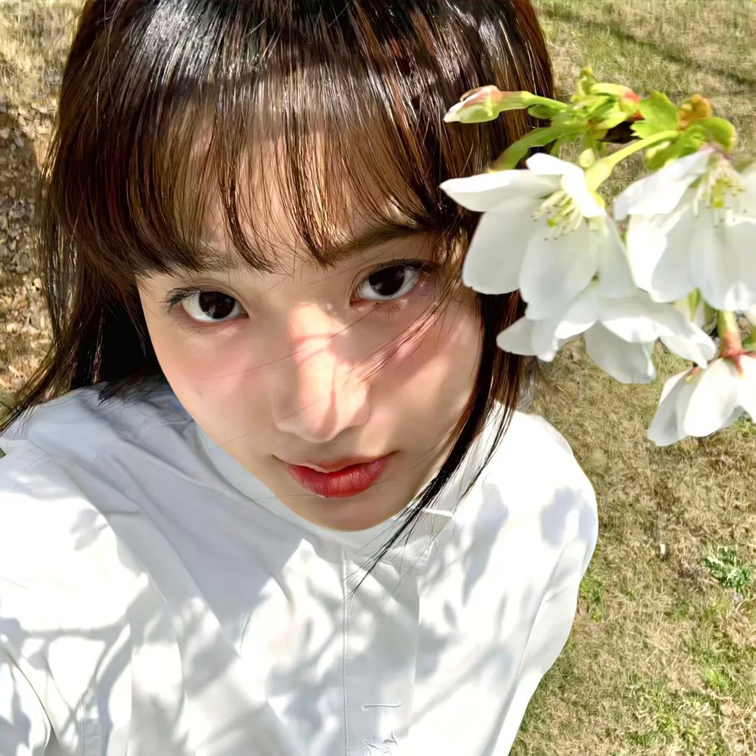 淑女宠爱